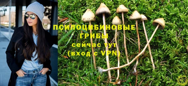 мескалин Инсар
