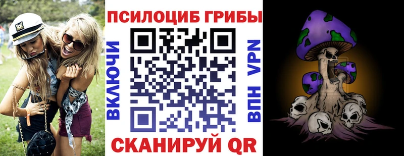 Купить закладки  Кировск  Галлюциногенные грибы Magic Shrooms 