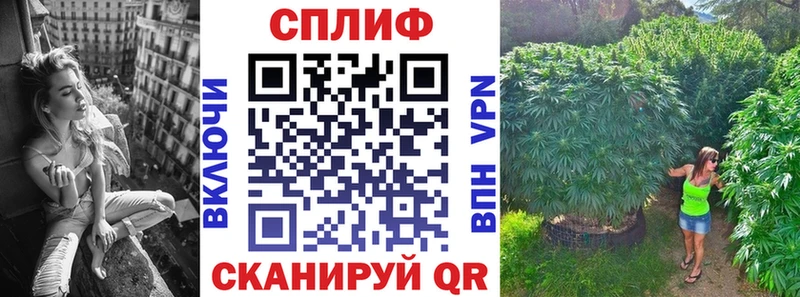 Купить закладки  Кировск  Марихуана план 